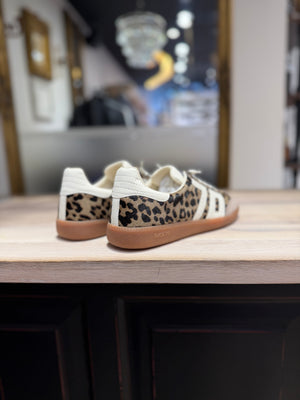 B70 Cloud Léo Taupe