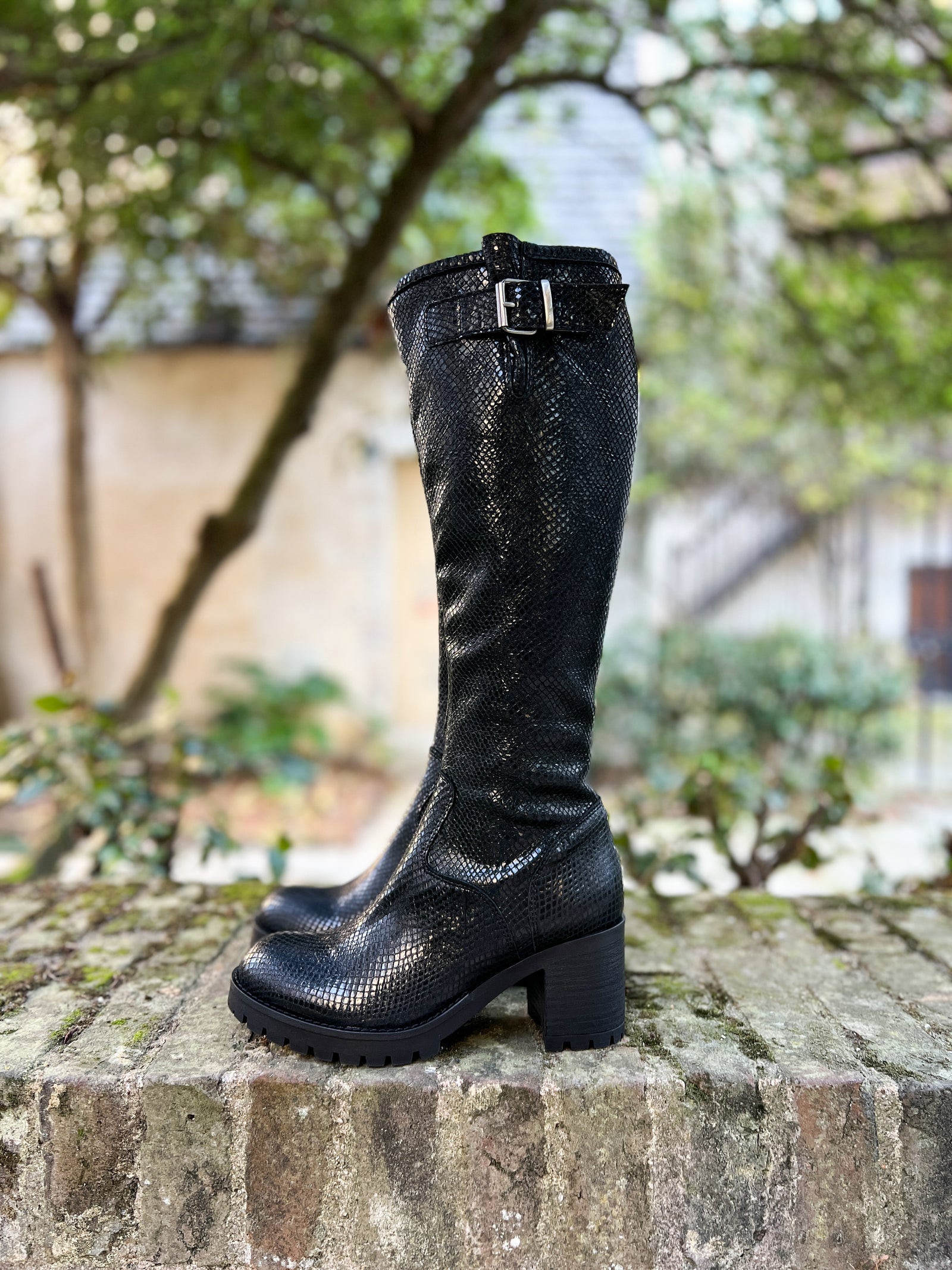 Cavaliere cuir python noir